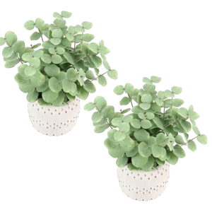 33619 Allen+Roth Eucalyptus Artificial Plant (2pk)