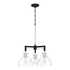 34287 Quoizel Vanguard 3 Light Chandelier